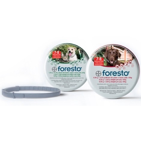 Foresto