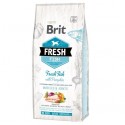 Brit Dog Fresh Fish Pumpkin Adult Large 12kg