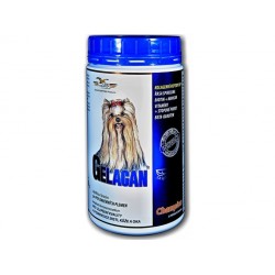 Gelacan Champion Color Hunde 500g