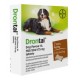 Drontal Dog Flavour XL 525/504/175mg tbl.2