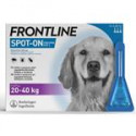 Frontline Spot-On für Hunde L 3 x 2,68ml (20-40kg)