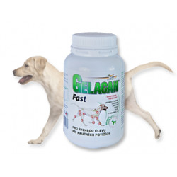 Gelacan Fast 150 g