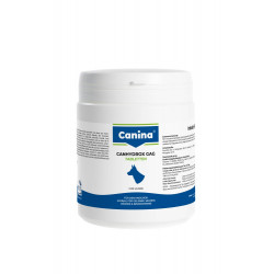 Canina Canhydrox GAG tbl 600 g (cca 360ks)