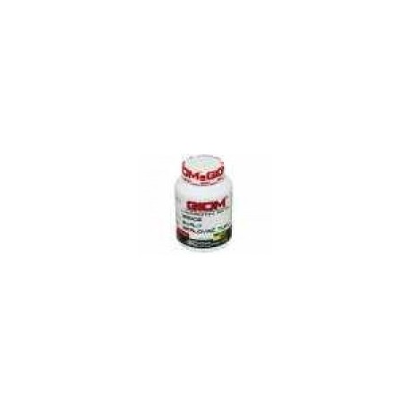 Giom ERA Chondro L-Carnitin-Aktiv 60 tbl. Maxi