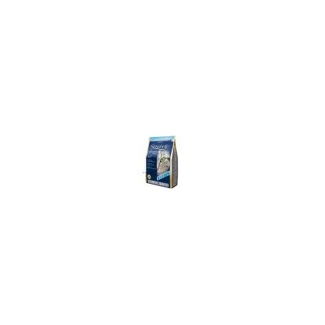 Bosch Cat Sanabelle Kitten